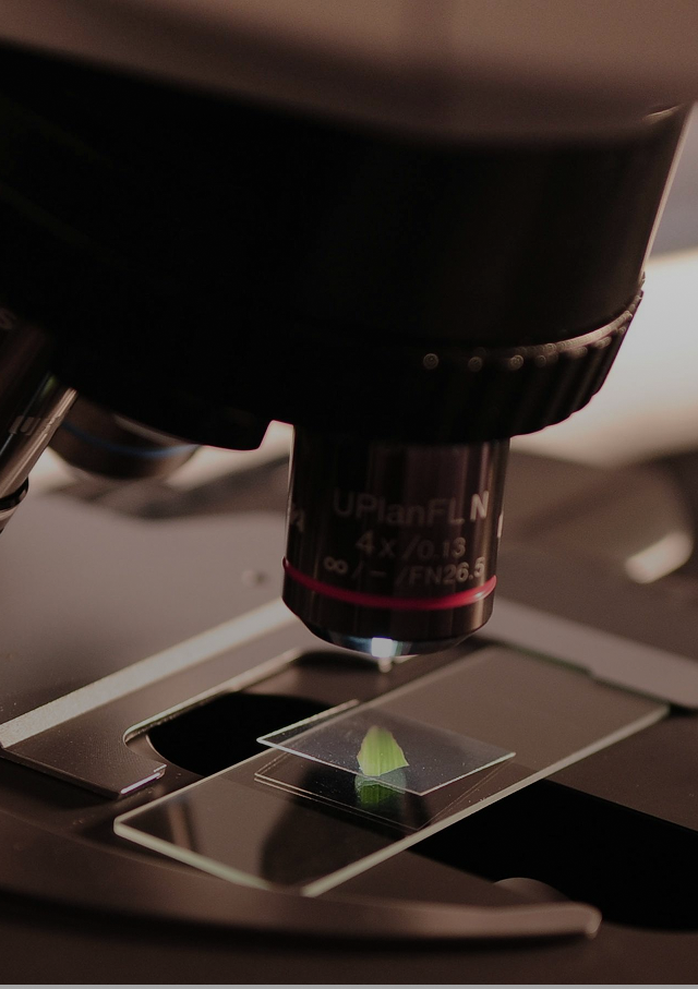 INVESTIGACIÓN E INNOVACIÓN